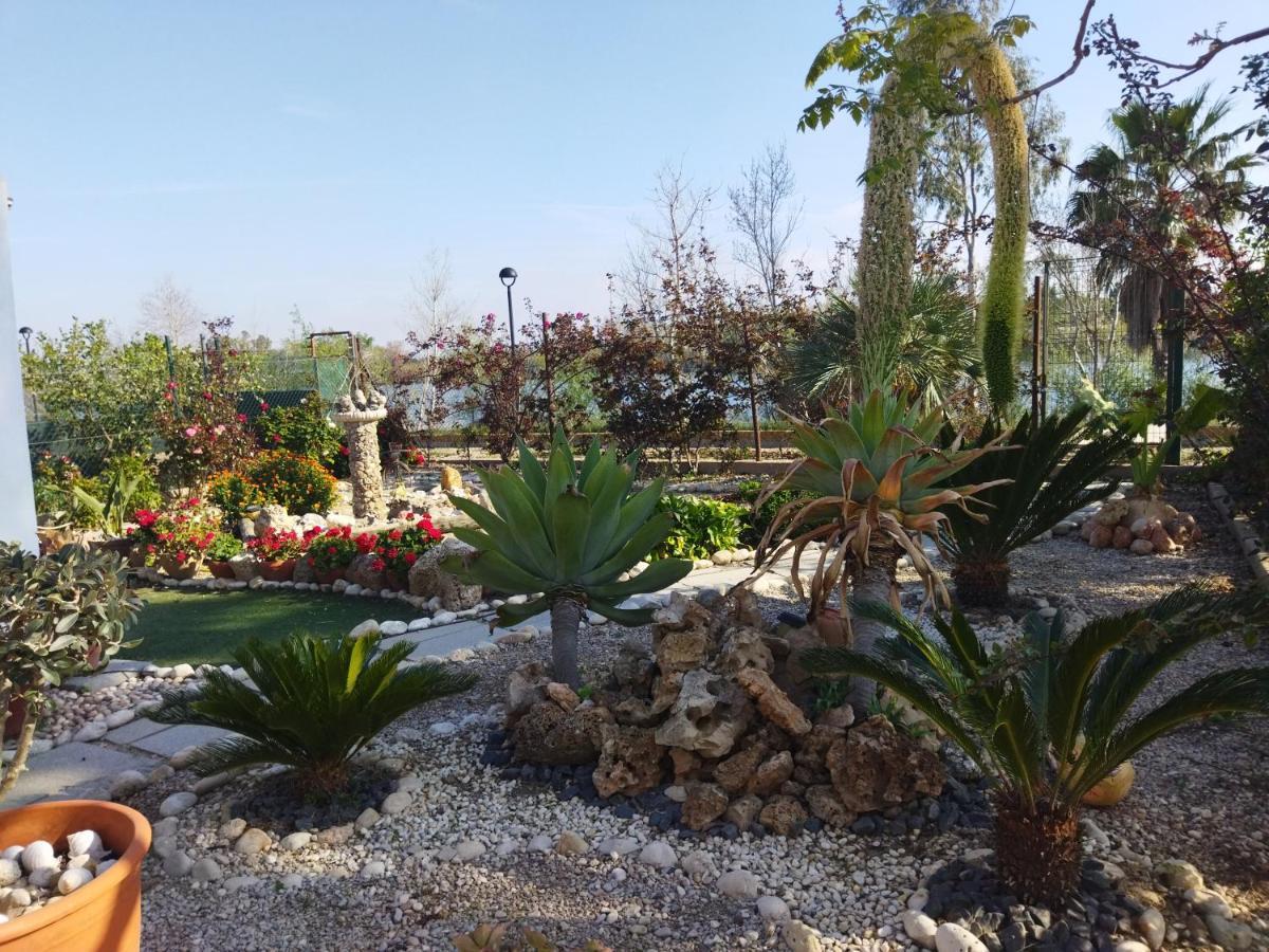 Casa Joan De L'Illa Villa Deltebre Buitenkant foto